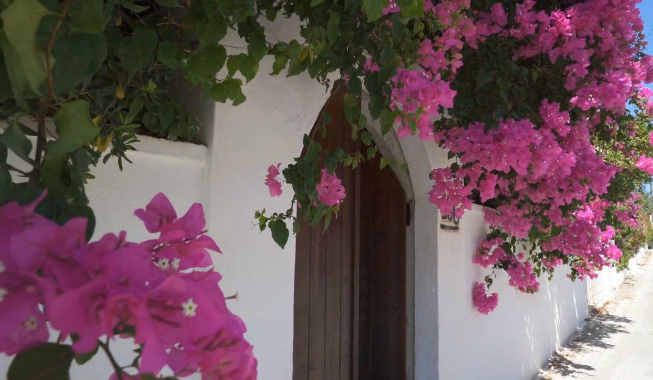 Alexiszorba Villa Pláka Extérieur photo